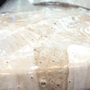 V-Mol Lavagem Pesada Concentrado Vonixx